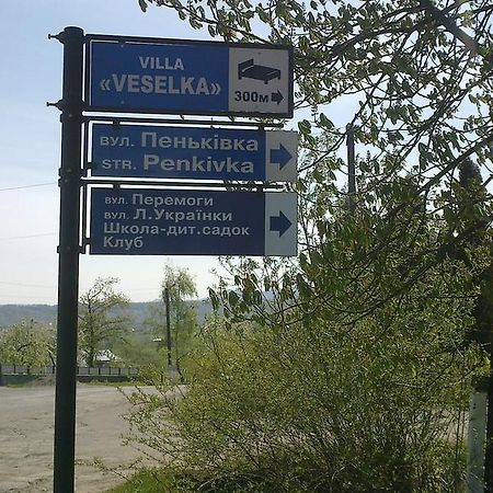 Villa Veselka Stari Kuty Buitenkant foto