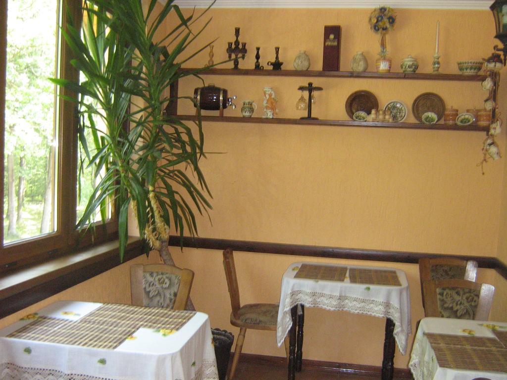 Villa Veselka Stari Kuty Buitenkant foto